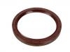 Crankshaft Oil Seal:11 14 1 706 785