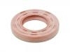 ختم النفط Oil Seal:55 580 121