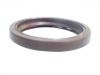 Oil Seal:011 997 06 47