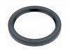 Oil Seal:084 409 189 C