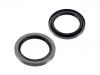 Oil Seal:9-09724-022-0